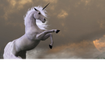 UNICORN FAM CLUB JOIN NOW!