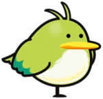 PAPER BIRDS INC