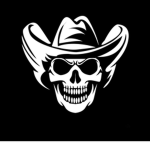 TheSkullRaiders
