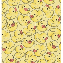 Duck army village