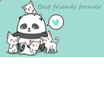 Panda vs cat