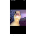 Soppierguide