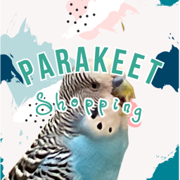 [REBOOT] Parakeet Shopping