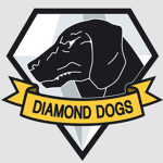 Diamond Navy Training Corp