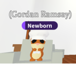 robux for dayzyzyyzyzz