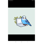 My bird farm