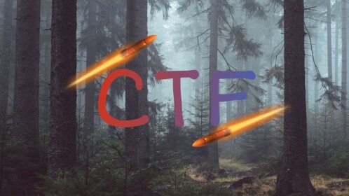 🌲Capture The Flag (Night)🌲