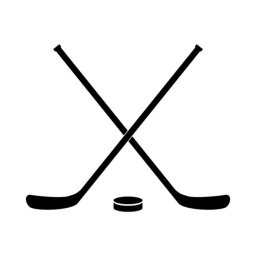 Hockey Obby