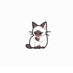 shubi shubi