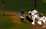 US MILLITARY HORSE TRAINING