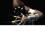 Scarecrow's Crew