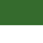 The Rashidun Empire