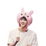 BTS FANGROUP