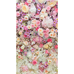 Rainbow daisy's