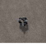 Spooky Scary Skeleton Clan
