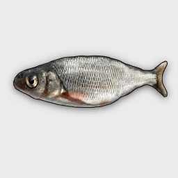 Fish Obby icon