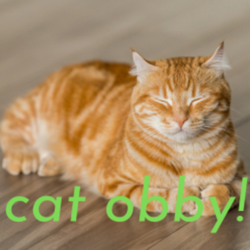 cat obby!