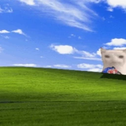 Troll obby to cats icon