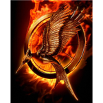 The Hunger Games, Districts Of Panem