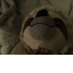 Brodytaggie