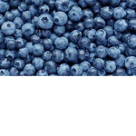 The Blueberry Tribe