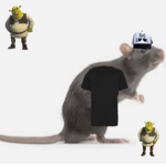 ~R4t~