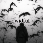 widful