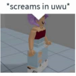 ELLO ELLO ELLO