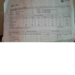 Dannylsi2011