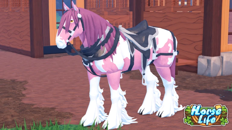 👑 ホースライフ 🐎