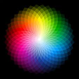 Easy color obby! <3
