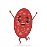 Salami Squad :D