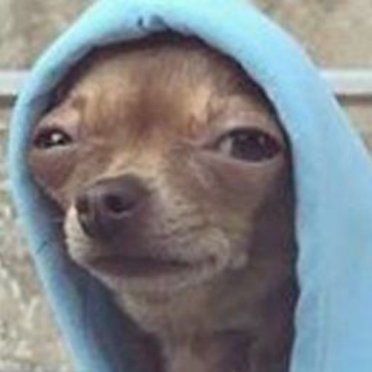 dog in hoodie meme Roblox decal