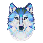 ☾Wolf Fashion☽