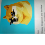 DOGE FAN CLUB BORK BORK!