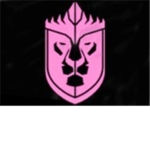 Special Infinite Guards