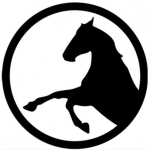 Dawn Horse Riding Academy