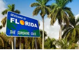 some game i made based in florida and not icon
