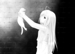 /kittyzz