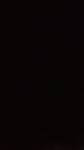 brins closet