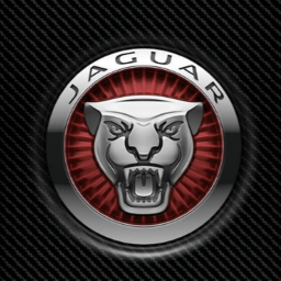 Jaguar dealership