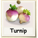 Turnip Games™