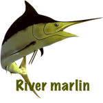 River Marlin