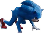 sonic group d