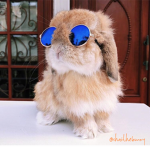 cool items shop