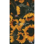 Lovely lookin sunflowers