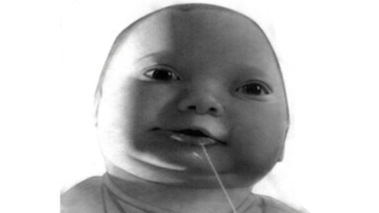 Meet AI Baby screenshot 1