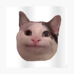 The Beluga Cat Fan Group