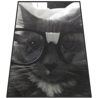 funny Glasses Cat Cape