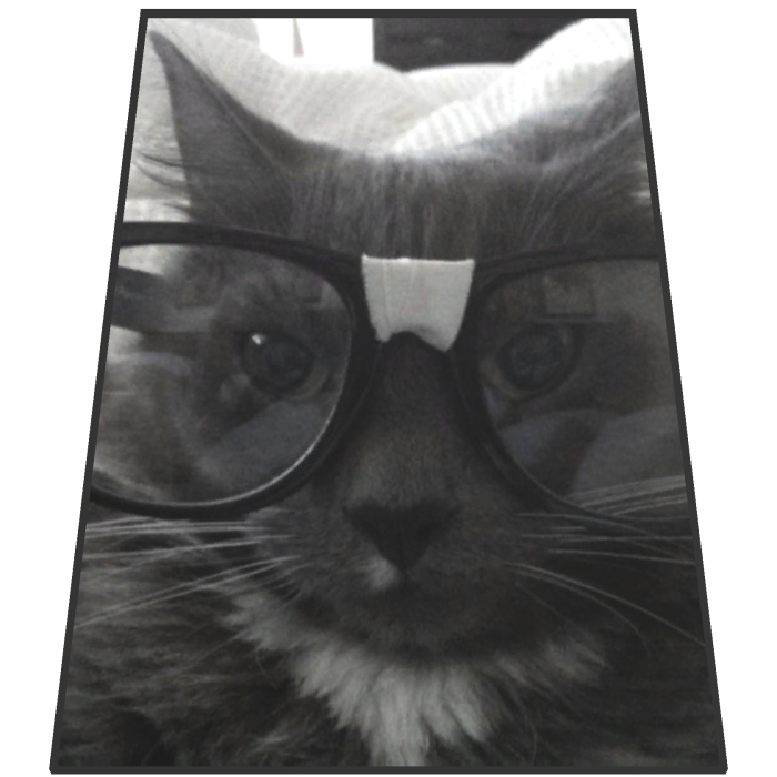 funny Glasses Cat Cape